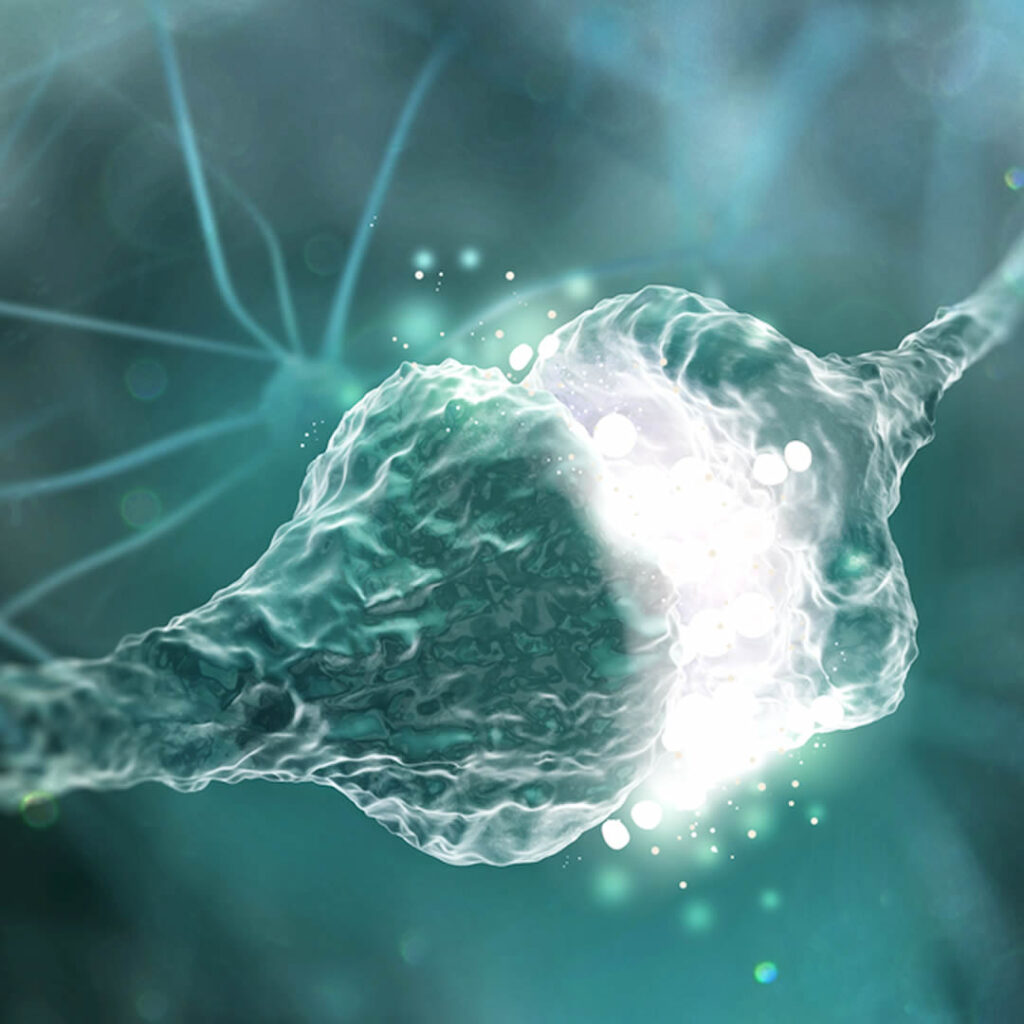 神経細胞のイメージ