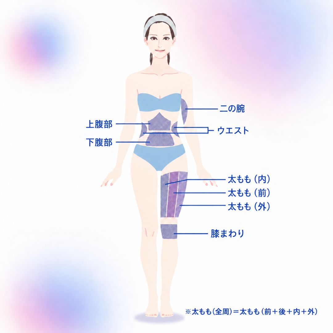 脂肪吸引の全面の吸引部位